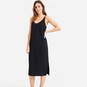 Everlane Party Slip Dress